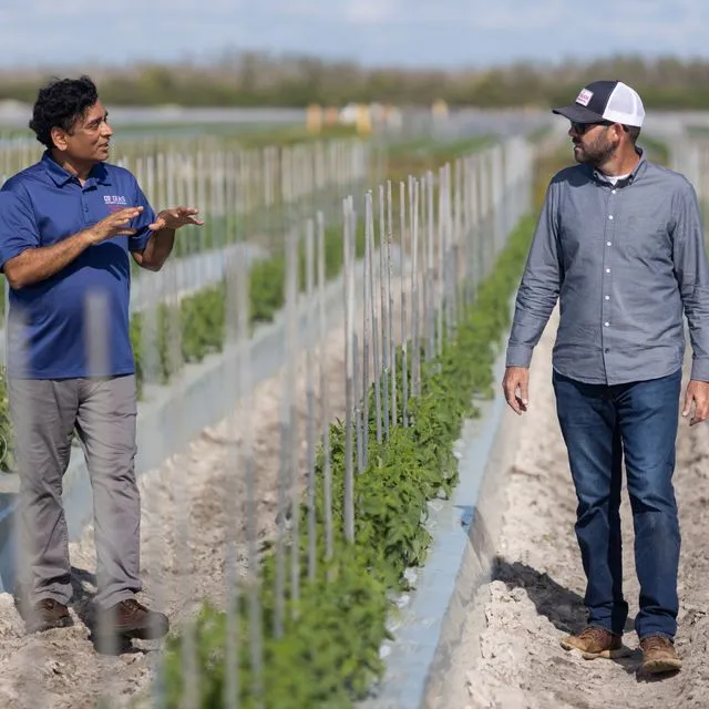 thumbnail for publication: Co-Design for Participatory Action Research in Agriculture: A Practical Guide for Extension